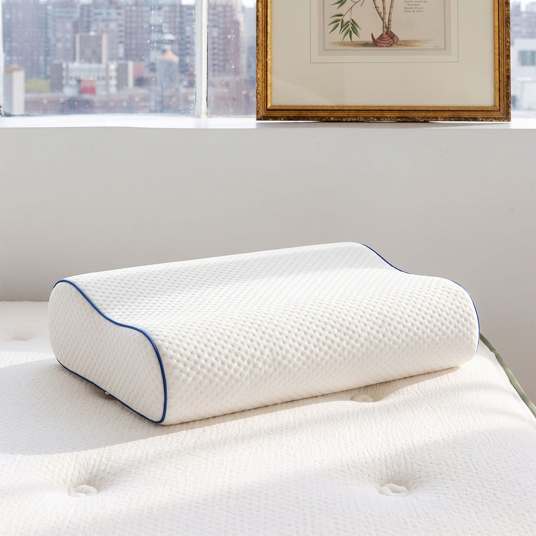 Audreamy Orthopaedic Memory Foam Neck Support Pillow