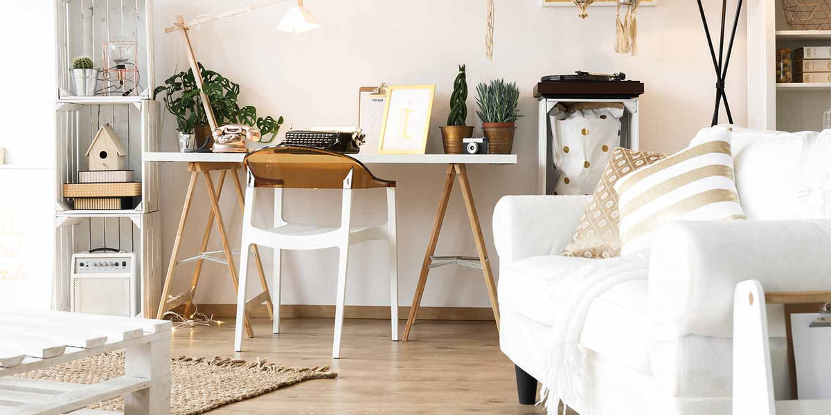 Asassa Furniture | Auchampx-Fast Shipping All Au