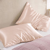 Audreamy 100% Mulberry Silk Pillowcase