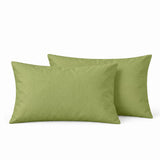 Audreamy 100% Cotton Pillowcases 2 Pack