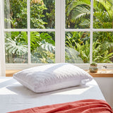 Audreamy Cotton Pillow