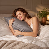 Audreamy 1000TC Microfiber Pillowcase Pair