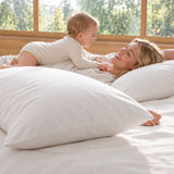 Audreamy 100% Cotton Pillowcases 2 Pack