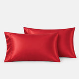 Audreamy 1000TC Microfiber Pillowcase Pair