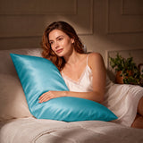 Audreamy 1000TC Microfiber Pillowcase Pair