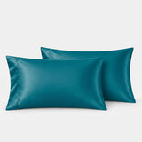 Audreamy 1000TC Microfiber Pillowcase Pair