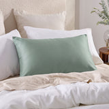 Audreamy 400TC Bamboo Cotton Pillow Cases
