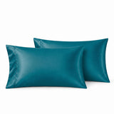 Audreamy 1000TC Microfiber Pillowcase Pair