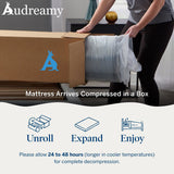 Audreamy Bondi Series 22cm Pillow Top Mattress – Cloud Comfort with Memory Foam Support