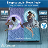 Audreamy Celeste Mattress – 23 cm Plush Tight Top Bamboo Charcoal Fabric 7-Zone Pocket Spring Medium Firm