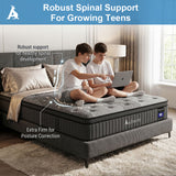 Audreamy Corsica Mattress – 26 cm Euro Top Bamboo Charcoal Fabric 7-Zone Pocket Spring Orthopedic Support for Back & Spine Health Extra-Firm King