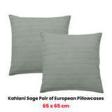 Bianca Pair of Kahlani Sage European Pillowcases 65 x 65cm