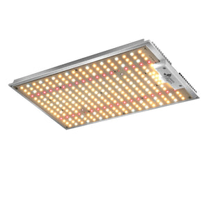 Grow Light