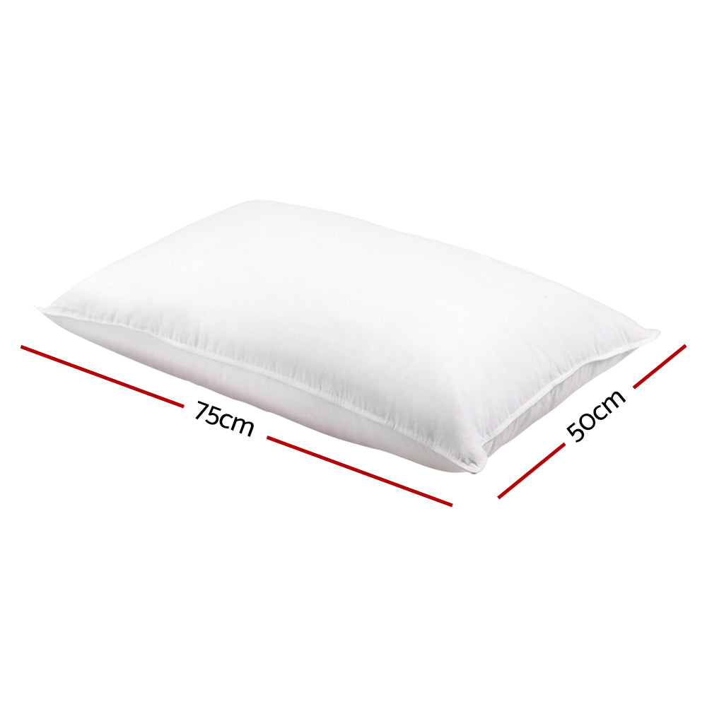 Giselle Bedding Set of 2 Goose Feather and Down Pillow - White